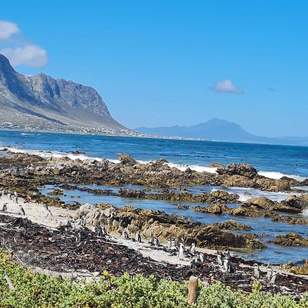 Brandys Beach House Bettyʼs Bay Eksteriør bilde
