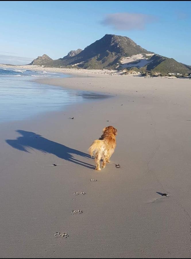 Brandys Beach House Bettyʼs Bay Eksteriør bilde