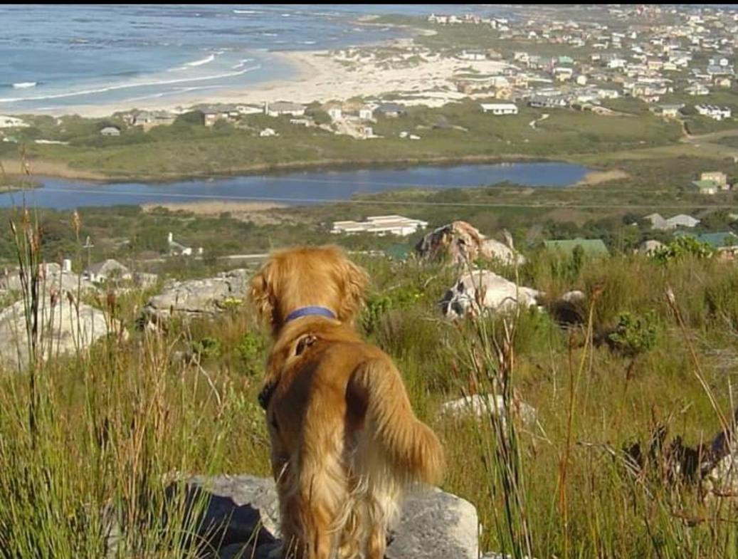 Brandys Beach House Bettyʼs Bay Eksteriør bilde