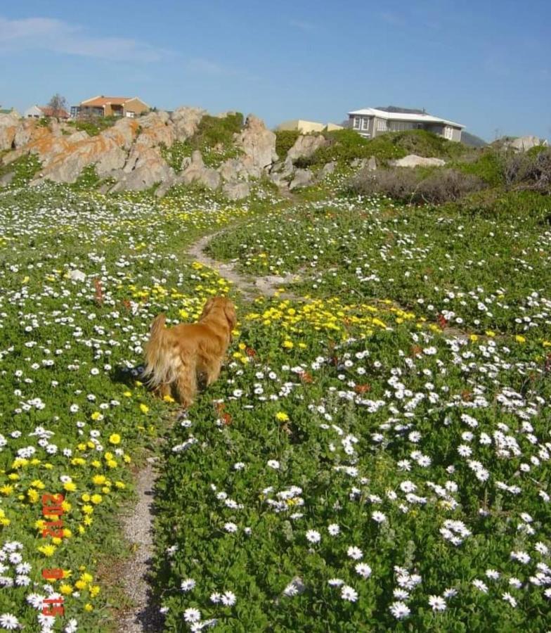 Brandys Beach House Bettyʼs Bay Eksteriør bilde